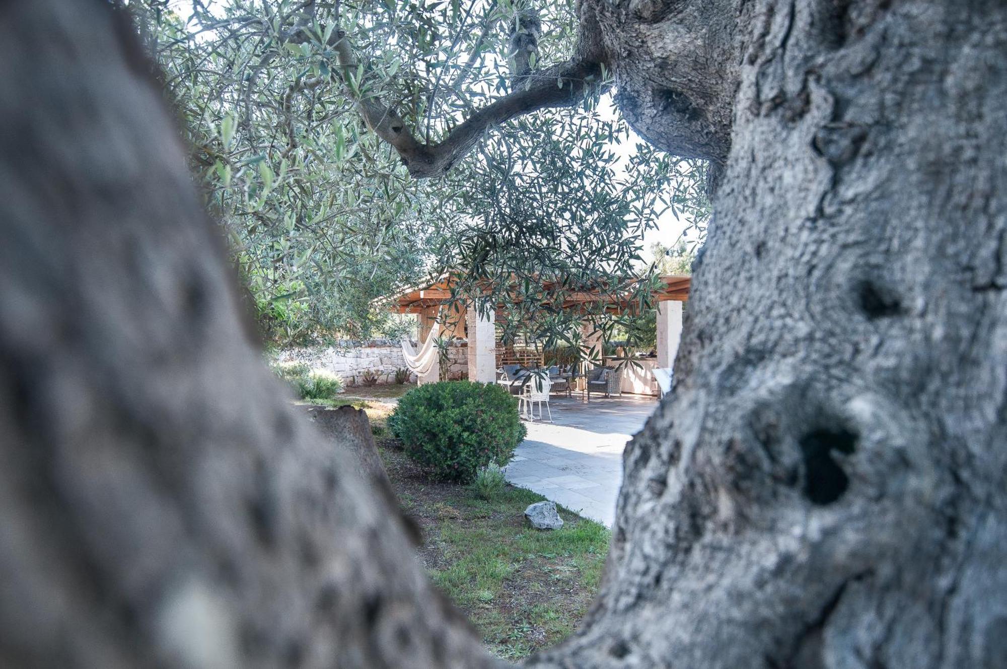 Il Trullo Di Ben Villa Locorotondo Exterior photo